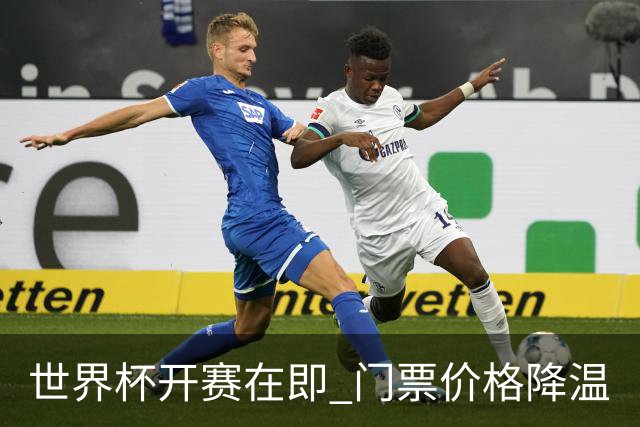 世界杯开赛在即 门票价格降温