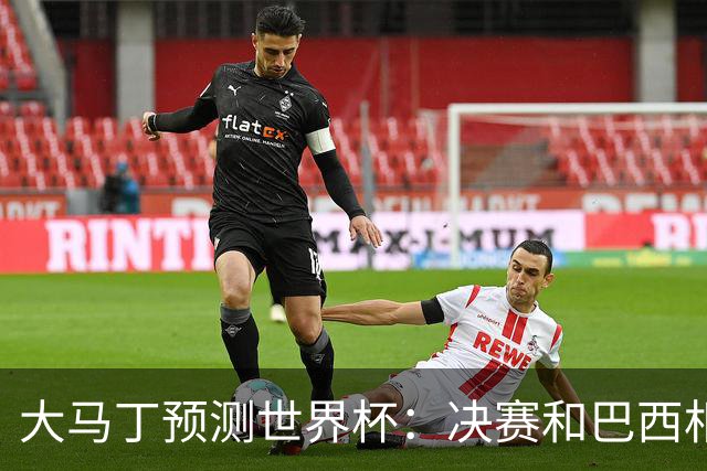 大马丁预测世界杯：决赛和巴西相遇 阿根廷将通过点球大战卫冕